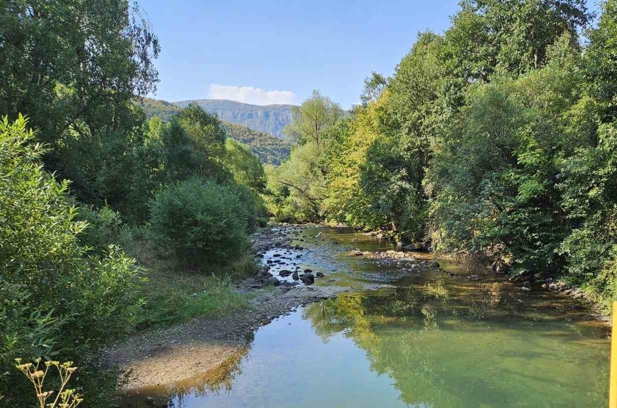 ✨ Zašto baš leto na Staroj planini?